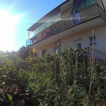 Lea Apartment Umag Bagian luar foto